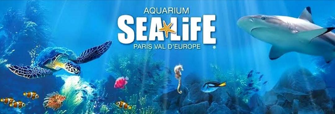 Appartement Spacieux Disneyland - La Vallee Village - 6 Personnes - 60M2 Saint-Germain-sur-Morin 외부 사진